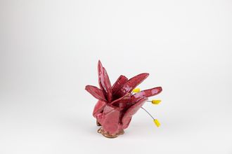 Wildflower 2