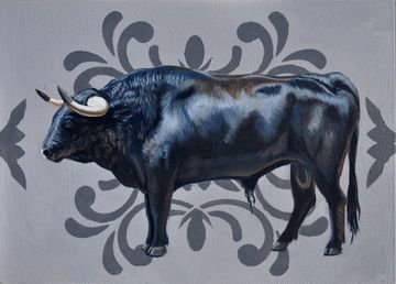 Profile of a Bull