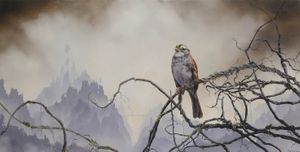 White Throated Sparrow